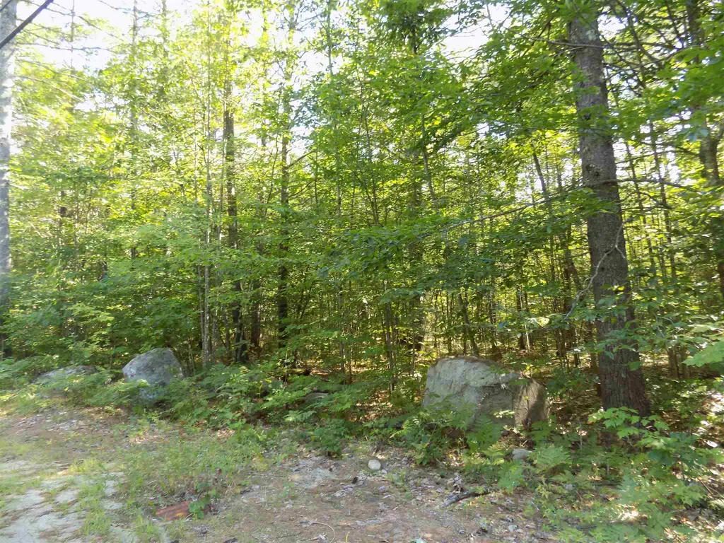 Davis Hill Road Conway NH 03818