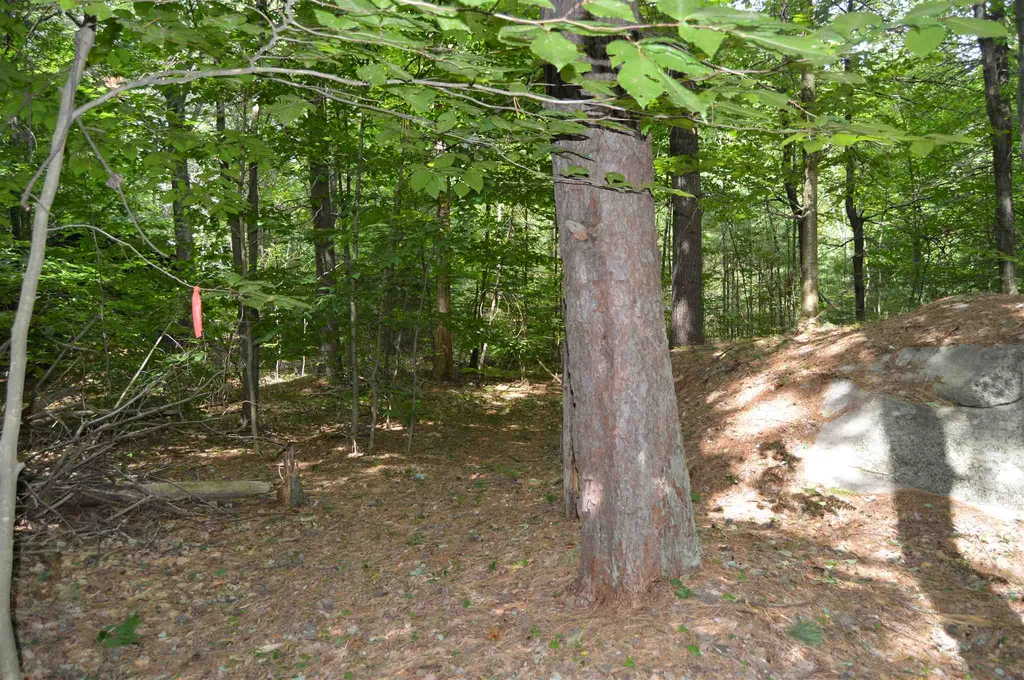 Lot 413-30 South Road Deerfield NH 03037