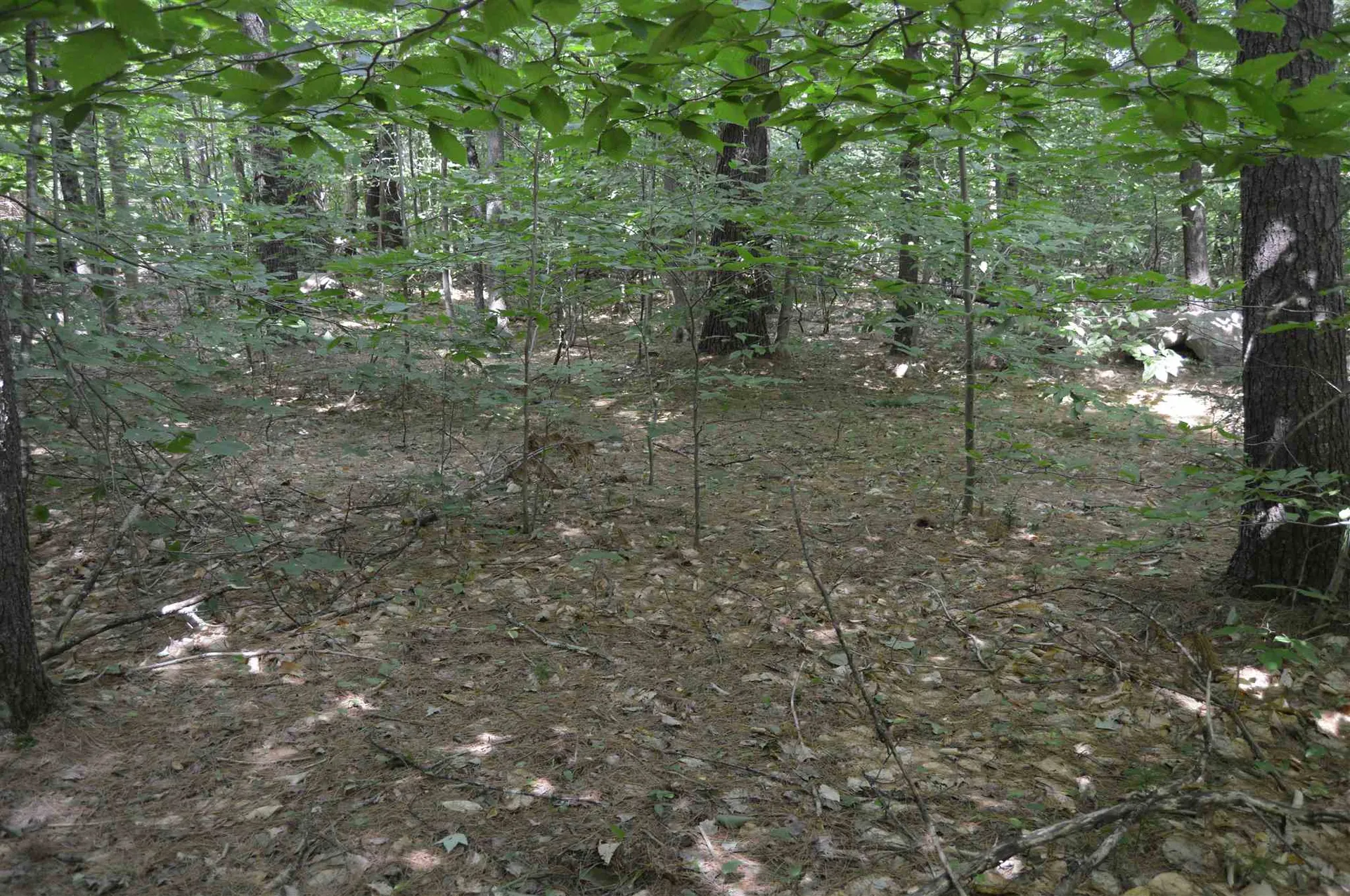 Lot 413-30 South Road Deerfield NH 03037