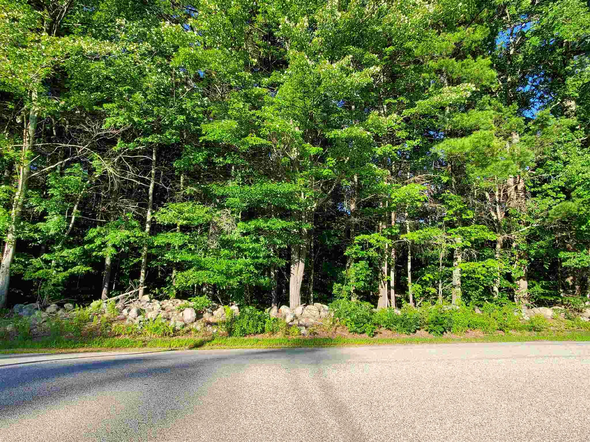 Lot 413-30 South Road Deerfield NH 03037