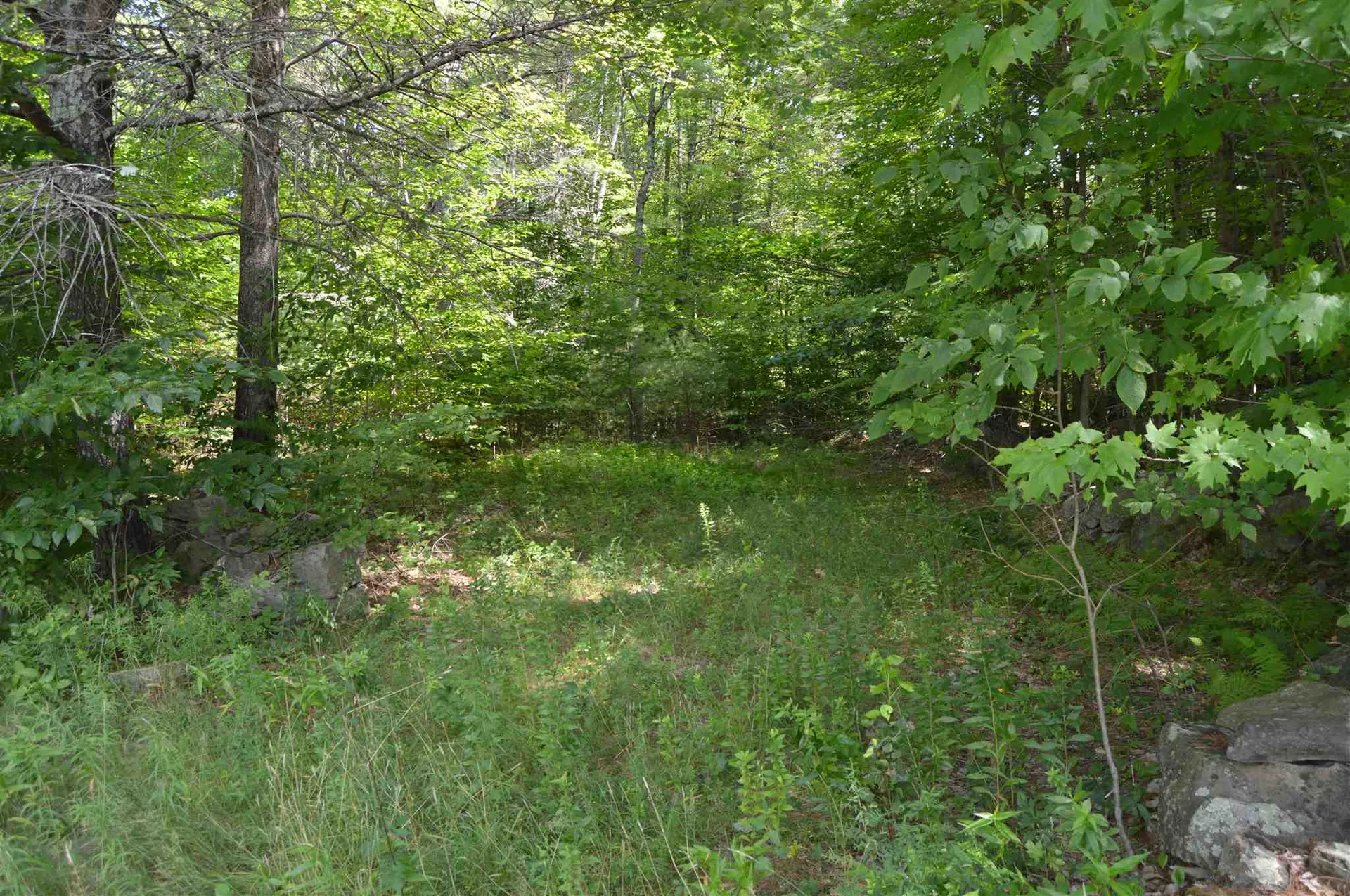 Lot 413-30 South Road Deerfield NH 03037