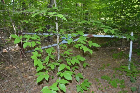 Lot 413-30 South Road Deerfield NH 03037