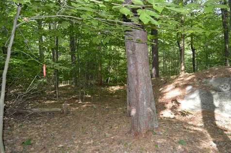 Lot 413-30 South Road Deerfield NH 03037