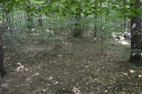 Lot 413-30 South Road Deerfield NH 03037