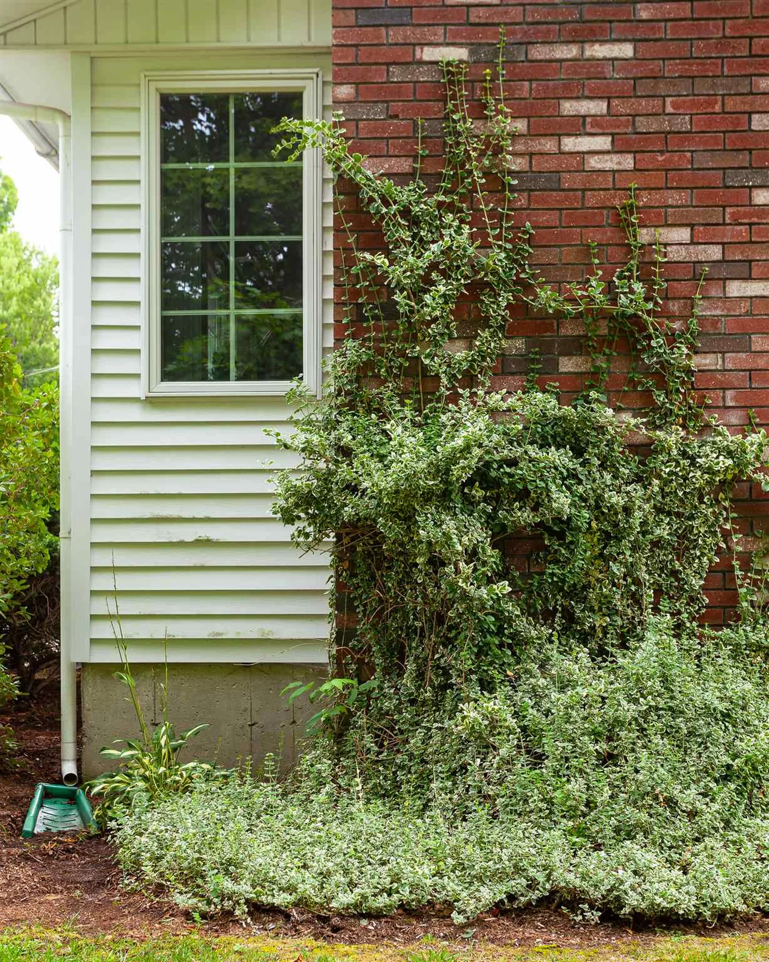 25 South Street Walpole NH 03608