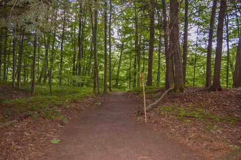 89 River Street Alstead NH 03602