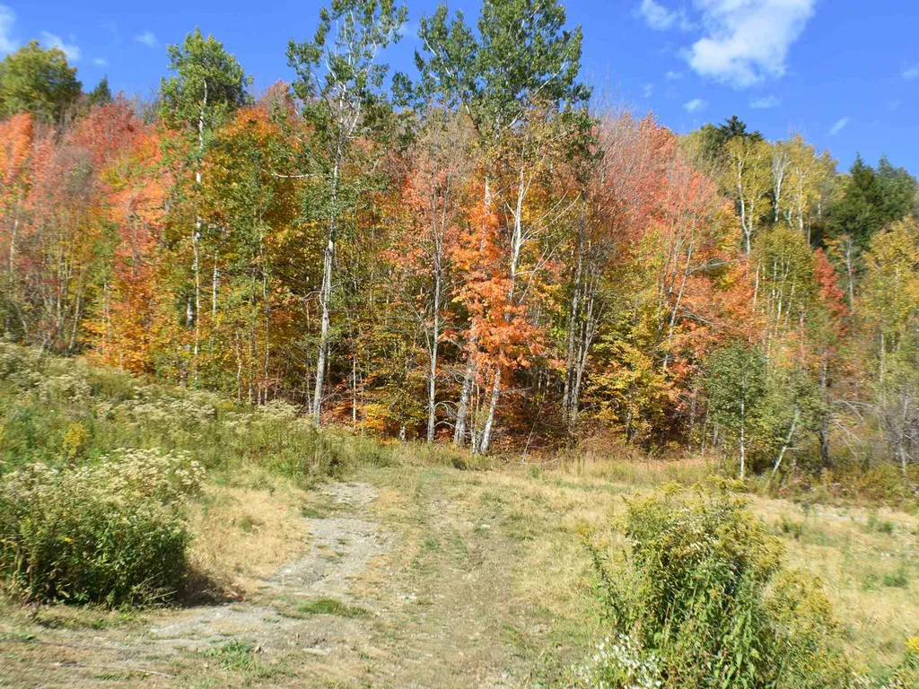 400 Salaki Road Moretown VT 05660