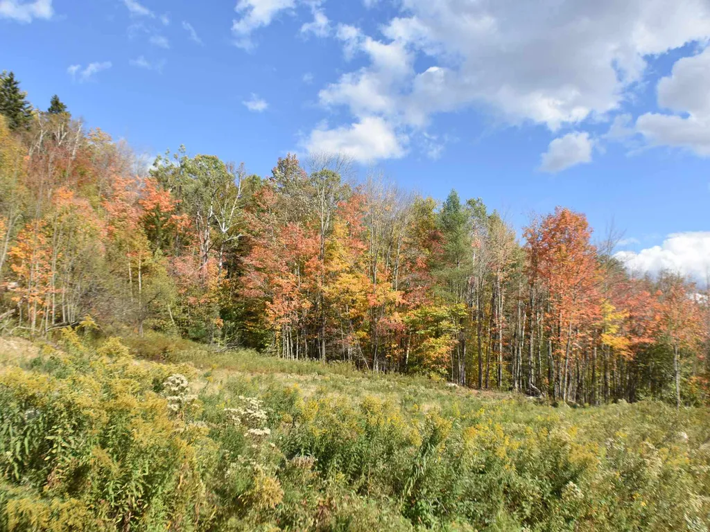 400 Salaki Road Moretown VT 05660