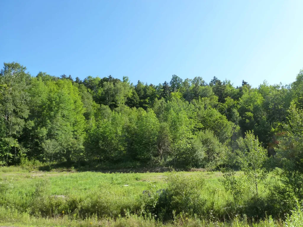 400 Salaki Road Moretown VT 05660