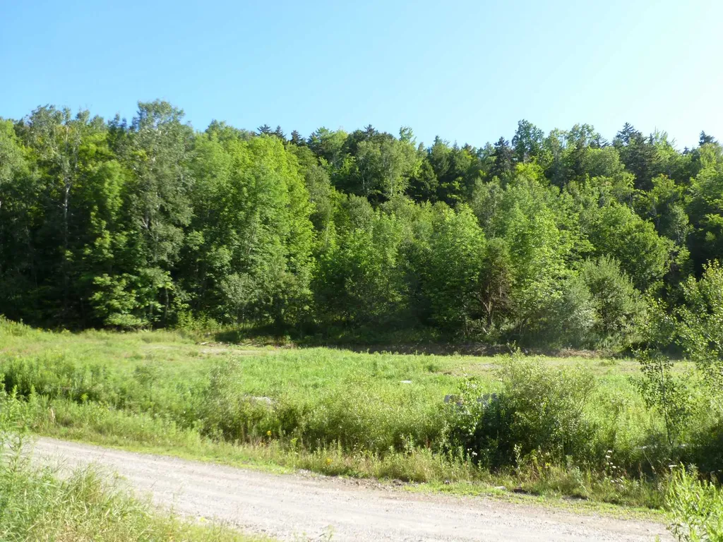 400 Salaki Road Moretown VT 05660