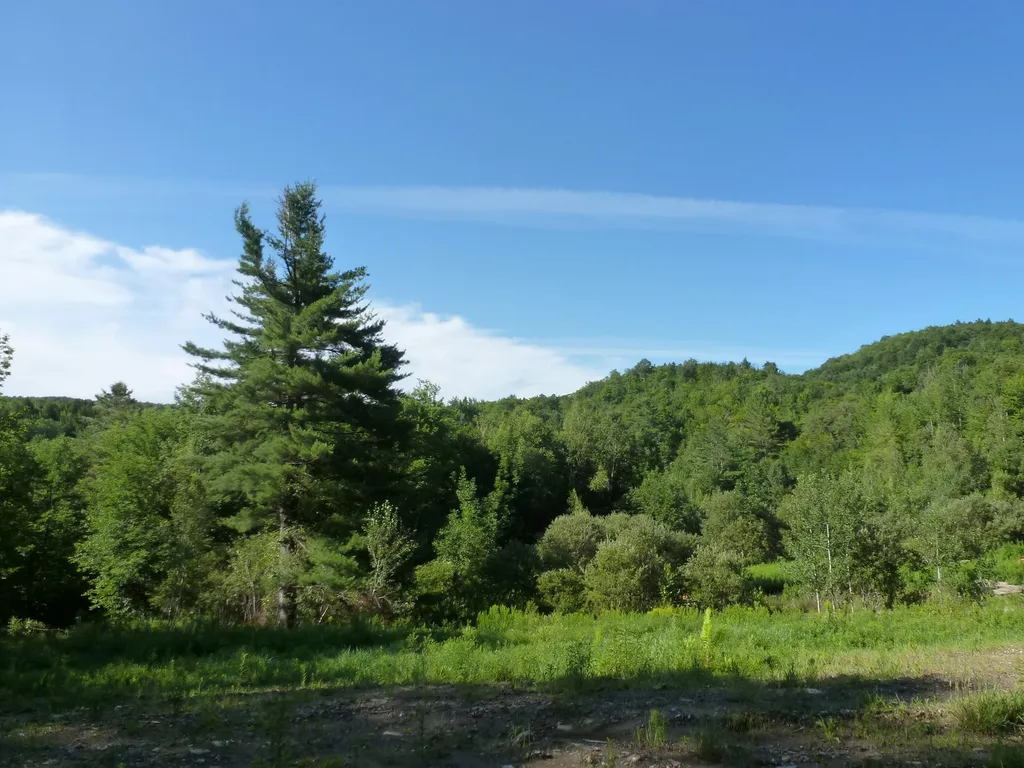 400 Salaki Road Moretown VT 05660