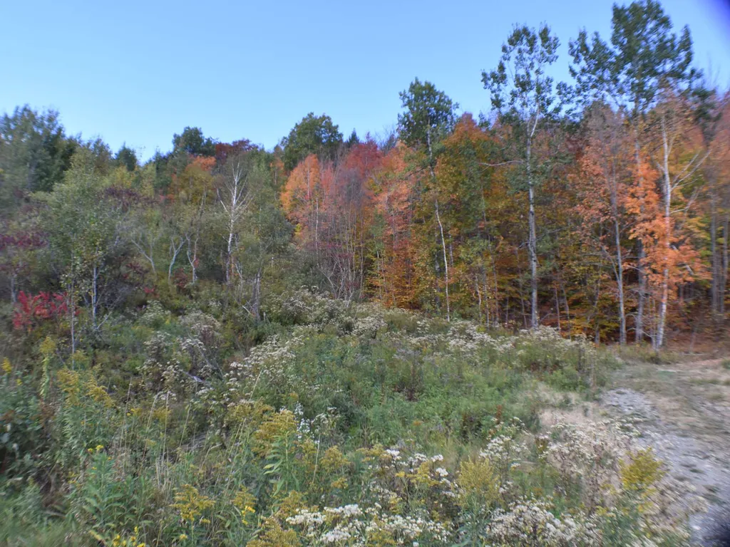 400 Salaki Road Moretown VT 05660