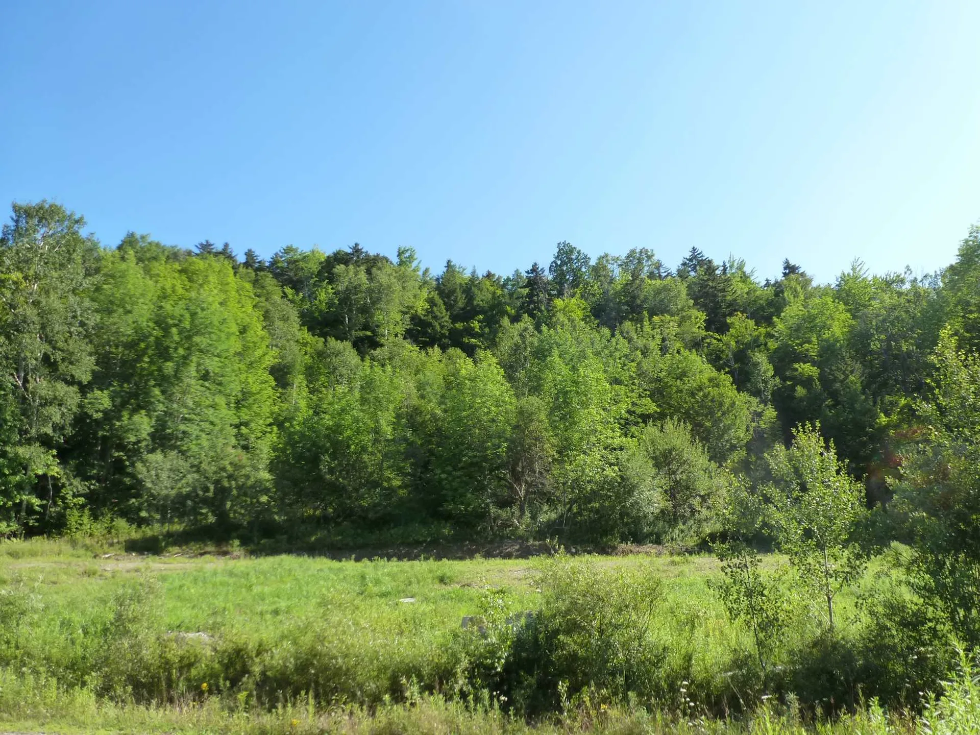 400 Salaki Road Moretown VT 05660