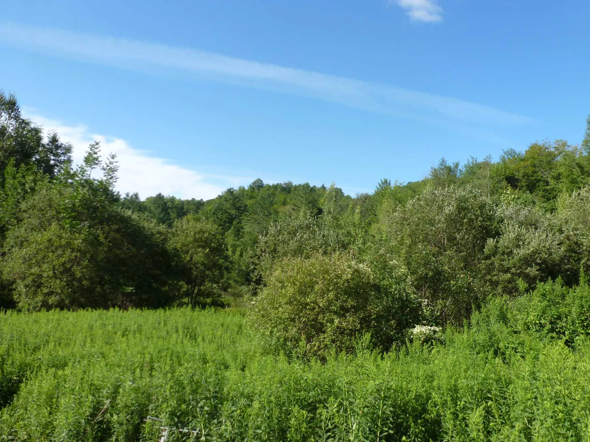 400 Salaki Road Moretown VT 05660