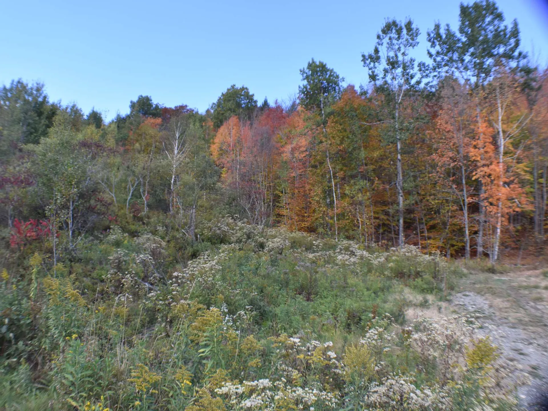 400 Salaki Road Moretown VT 05660