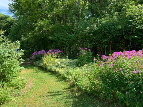 88 River Road Barnet VT 05861