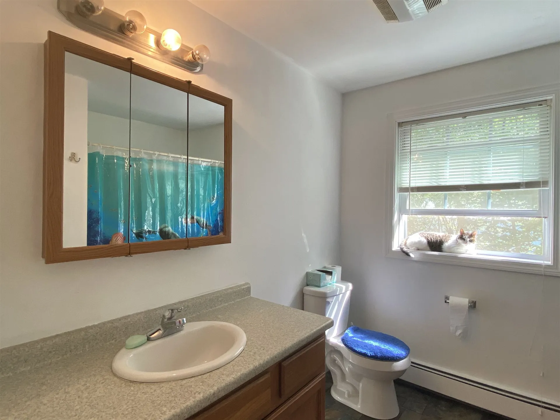 16 Red Fox Crossing Hillsborough NH 03244