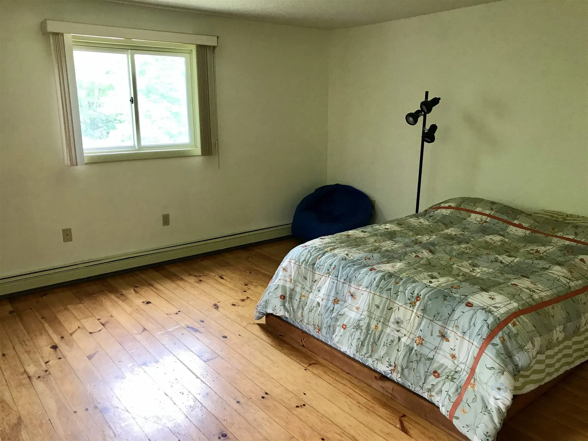723 Sheffield Road Sutton VT 05867