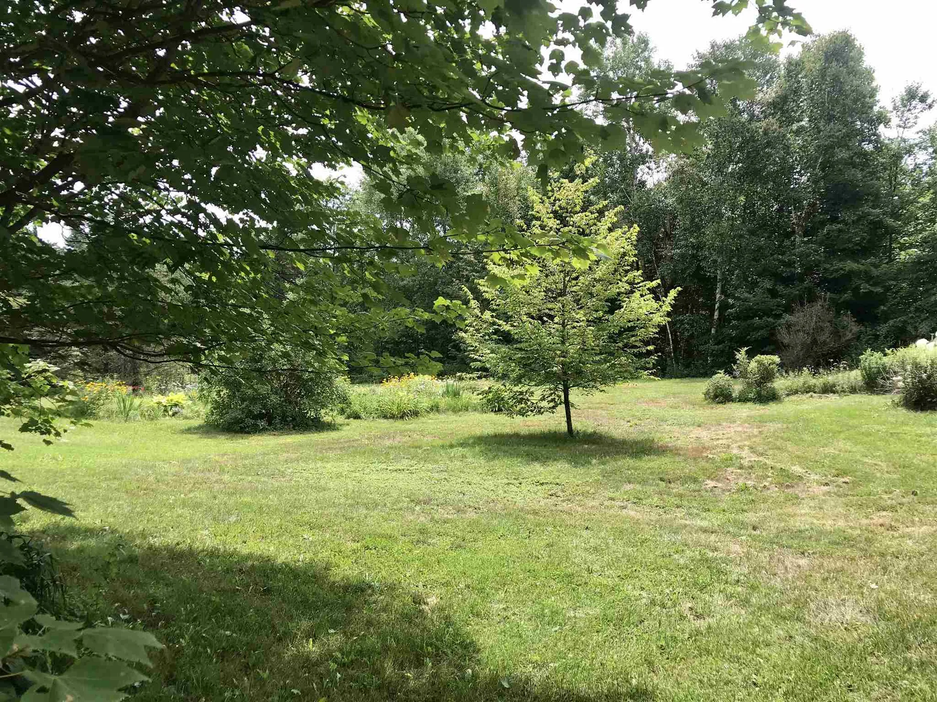 723 Sheffield Road Sutton VT 05867