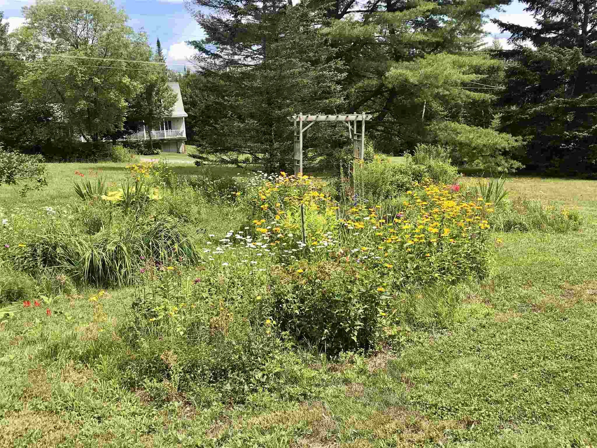 723 Sheffield Road Sutton VT 05867