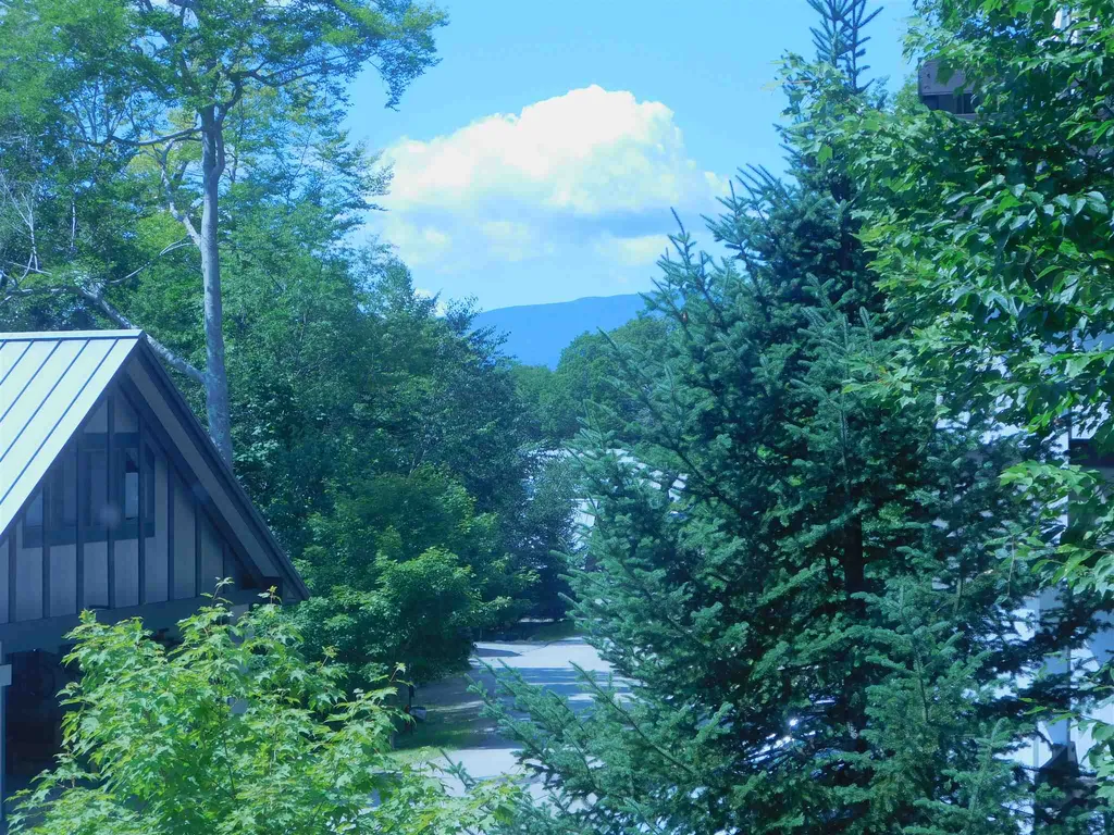 54 Flume Road Lincoln NH 03251