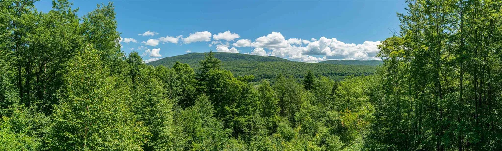 522 Read Farm Lane Dorset VT 05253