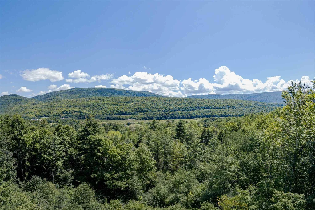 522 Read Farm Lane Dorset VT 05253