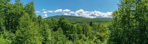522 Read Farm Lane Dorset VT 05253