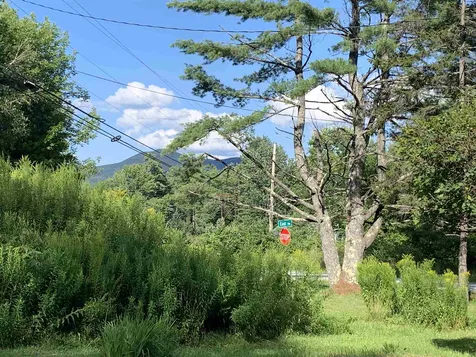 1631 Tarbell Hill Road Cavendish VT 05142