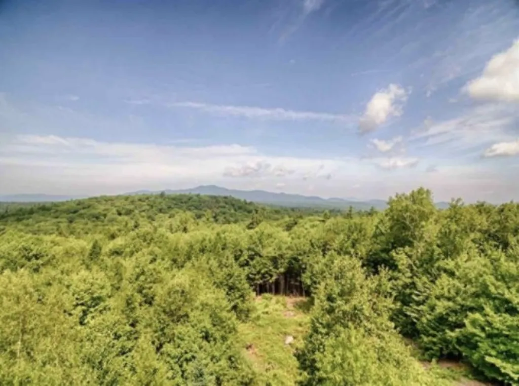 926 Beach Pond Road Wolfeboro NH 03894
