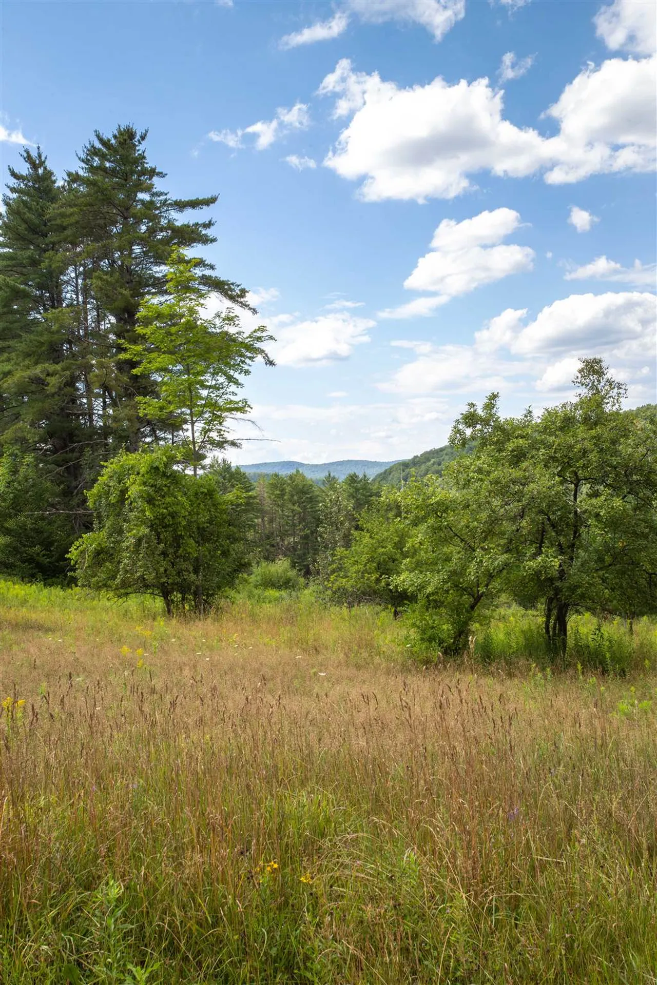 152 Button Hill Road Tunbridge VT 05077