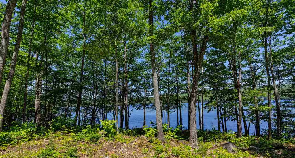 Lot #11 Island Road Canaan NH 03741