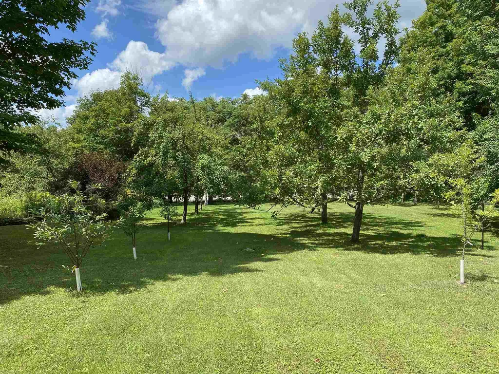 3318 Cabot Road Woodbury VT 05681