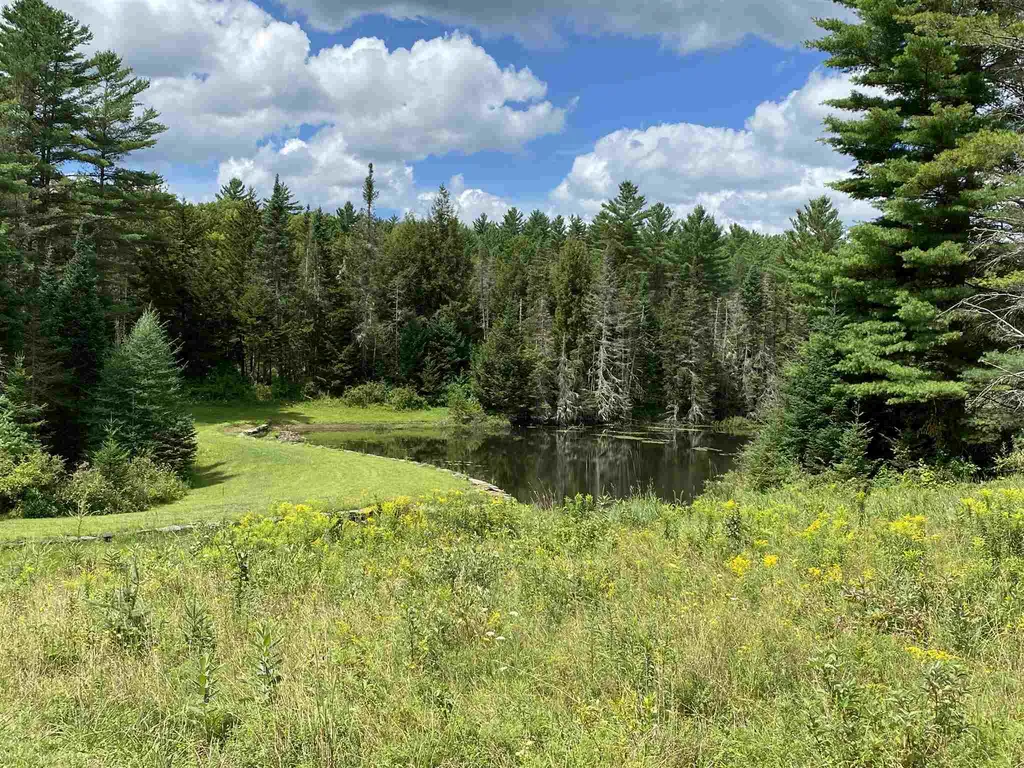 3318 Cabot Road Woodbury VT 05681