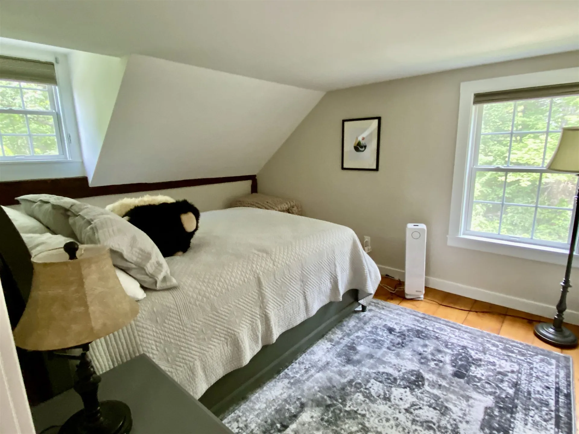 3318 Cabot Road Woodbury VT 05681