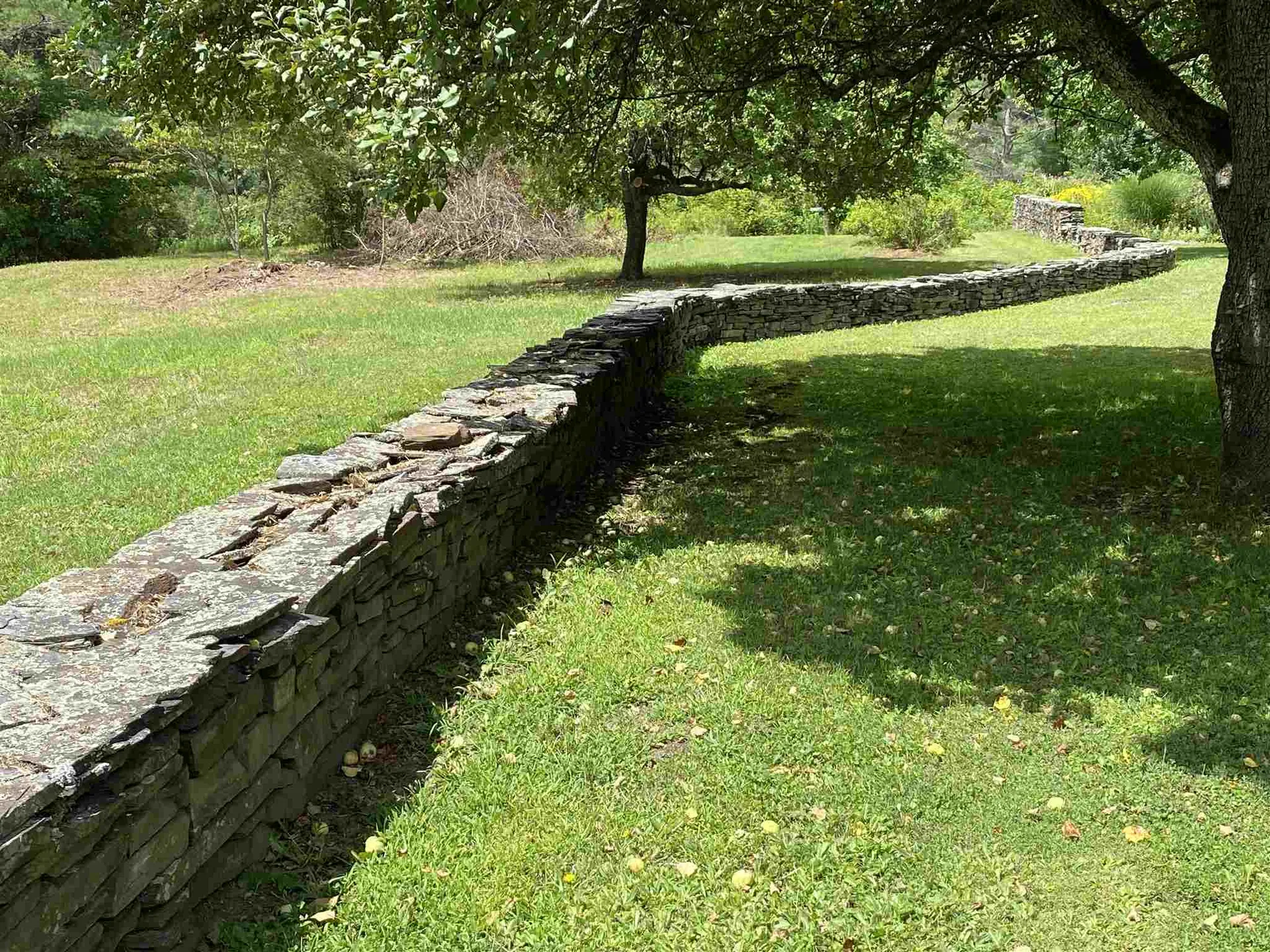 3318 Cabot Road Woodbury VT 05681