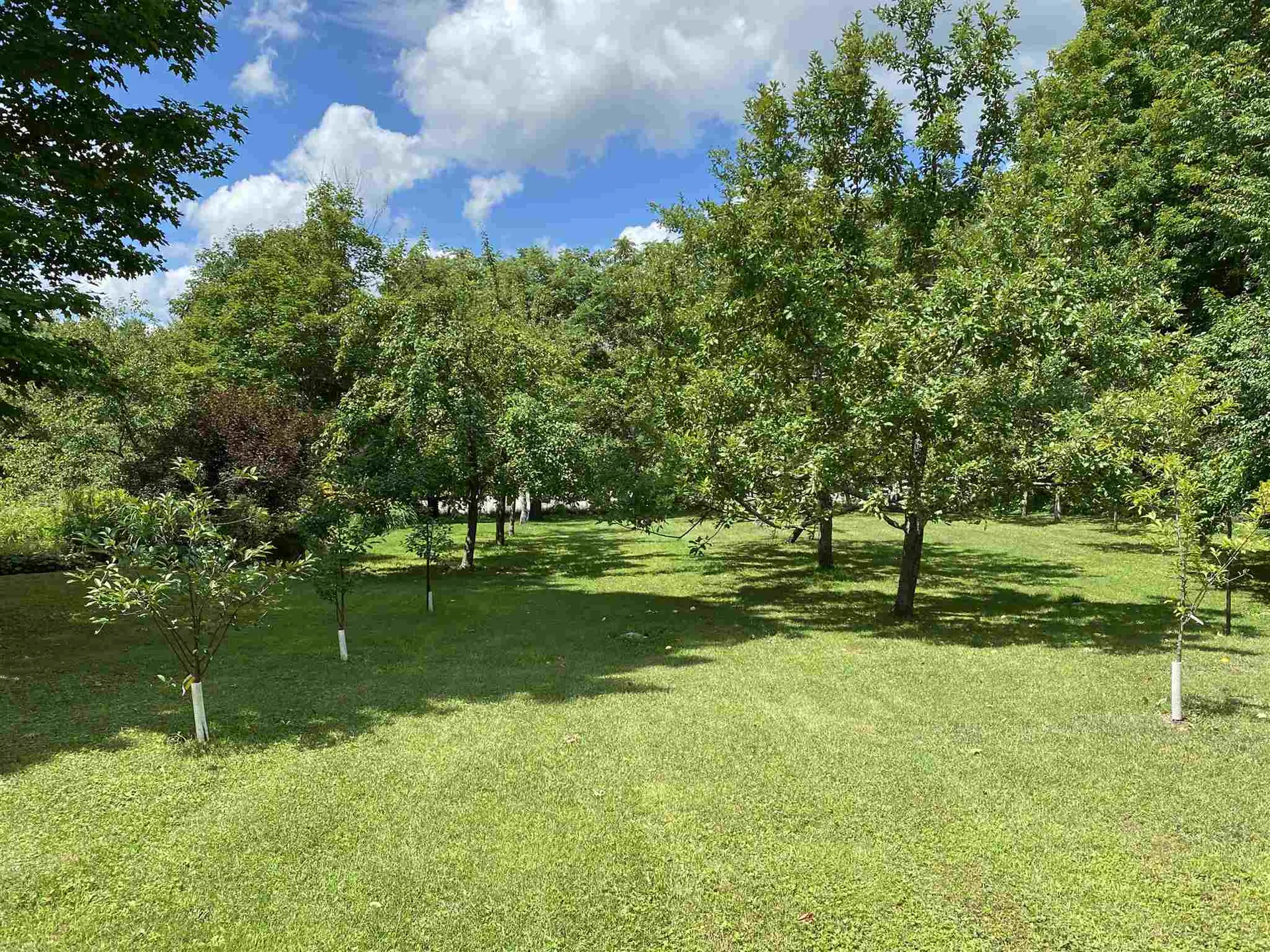 3318 Cabot Road Woodbury VT 05681