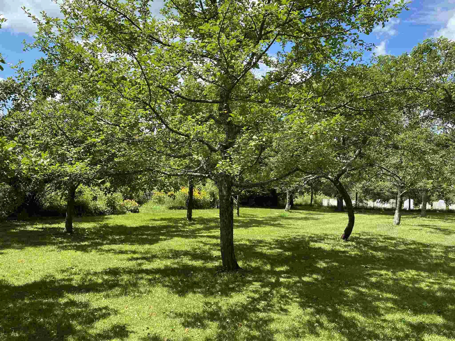 3318 Cabot Road Woodbury VT 05681