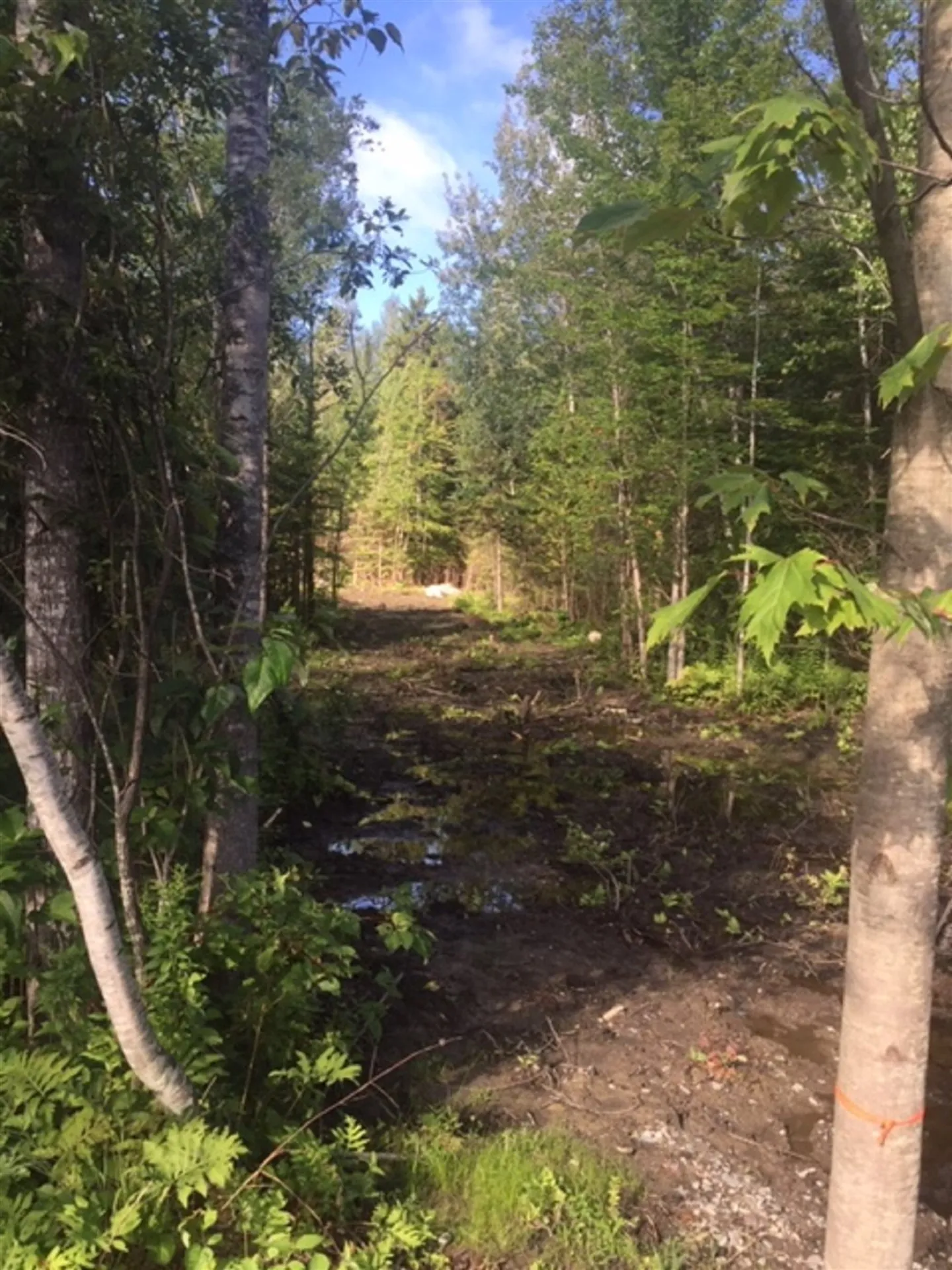 124 Terrace Drive Derby VT 05829