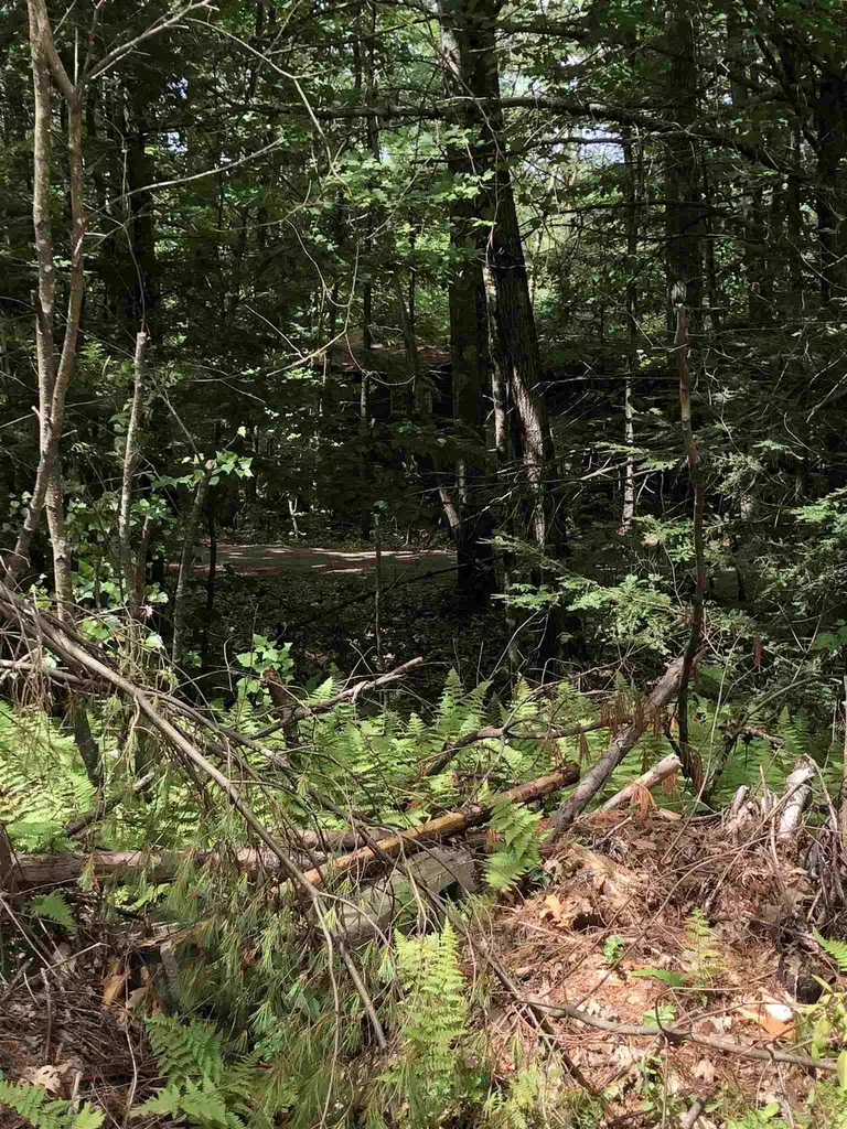 100 Bennington Depot Road Deering NH 03244