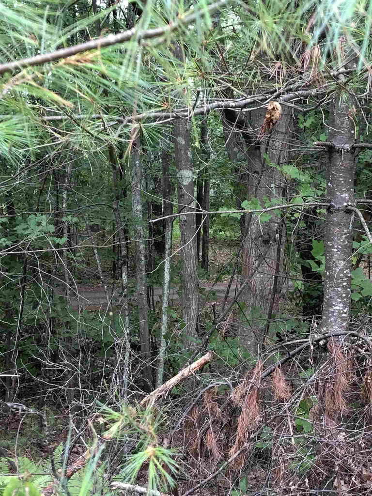 100 Bennington Depot Road Deering NH 03244