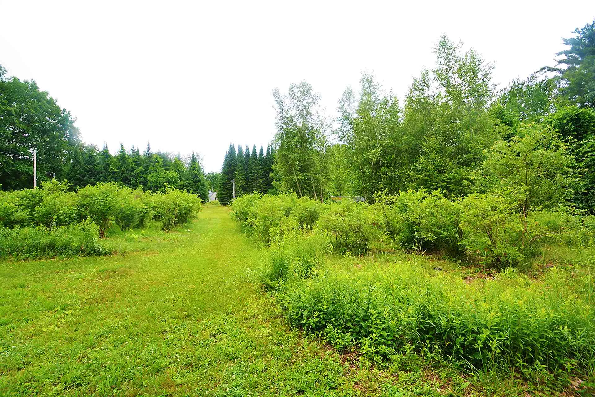 16 Bolan Road Milton NH 03851