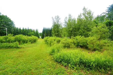 16 Bolan Road Milton NH 03851