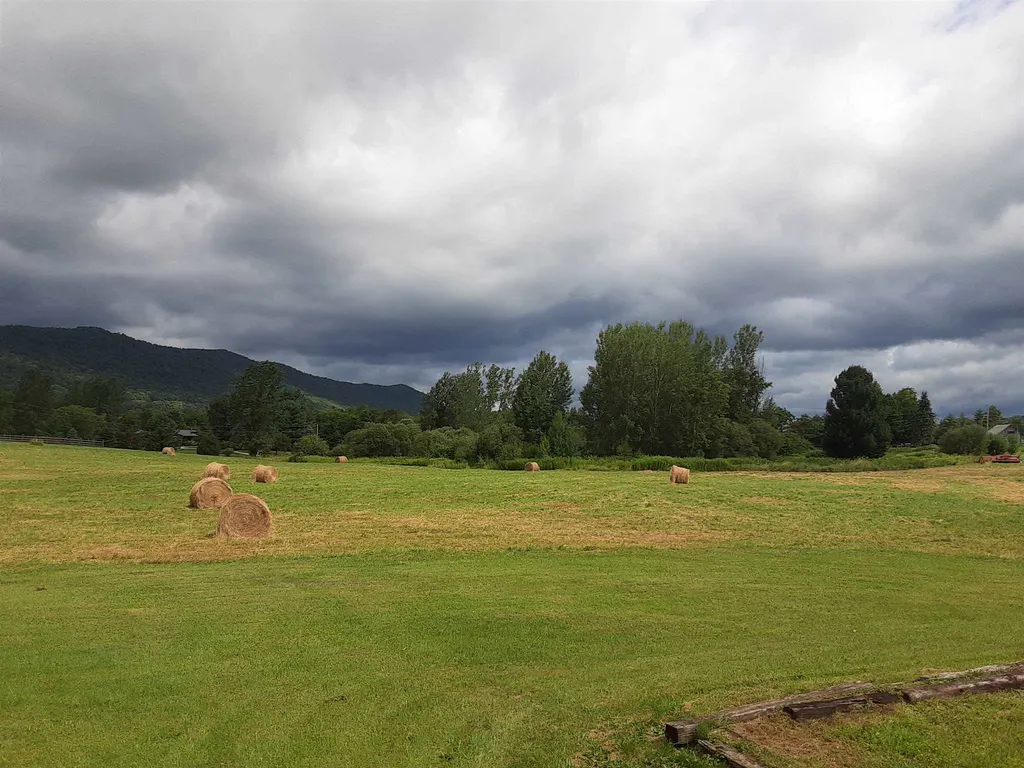 335 Tinmouth Road Danby VT 05739