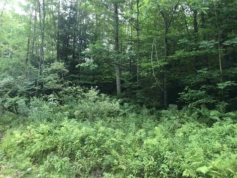 512 Craigue Hill Road Springfield VT 05156