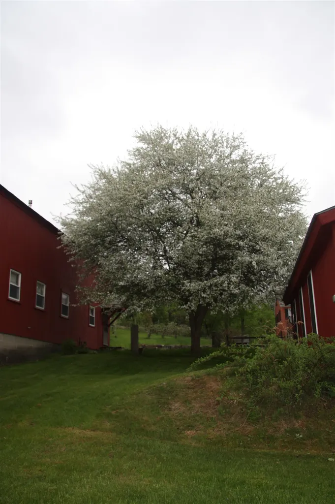 706 Route 63 Westmoreland NH 03467