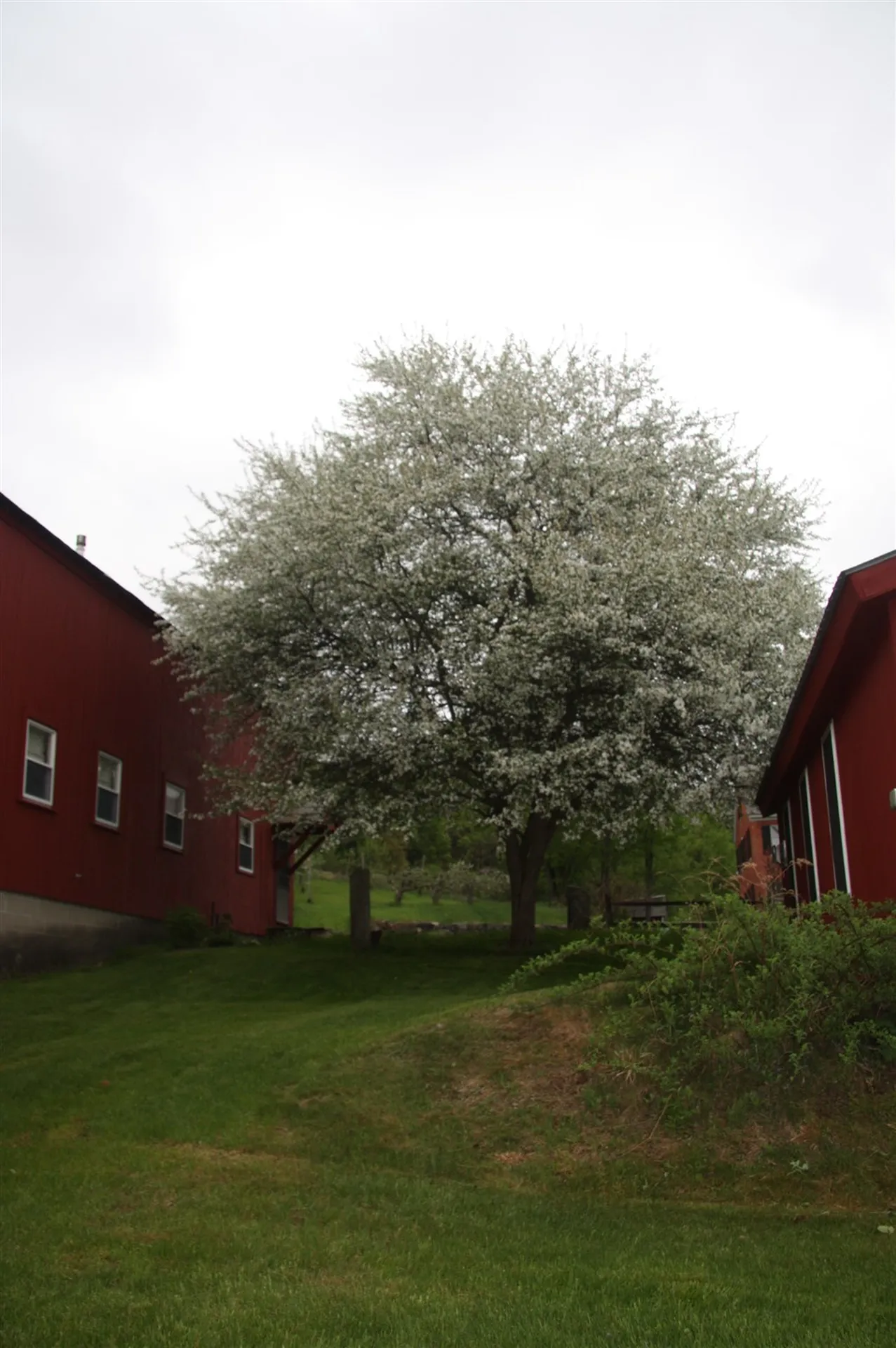 706 Route 63 Westmoreland NH 03467