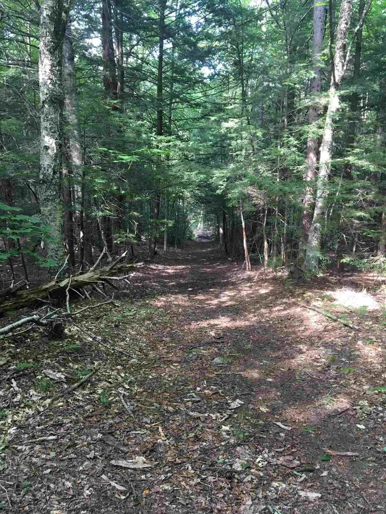 58 Brickyard Road Dover VT 05341