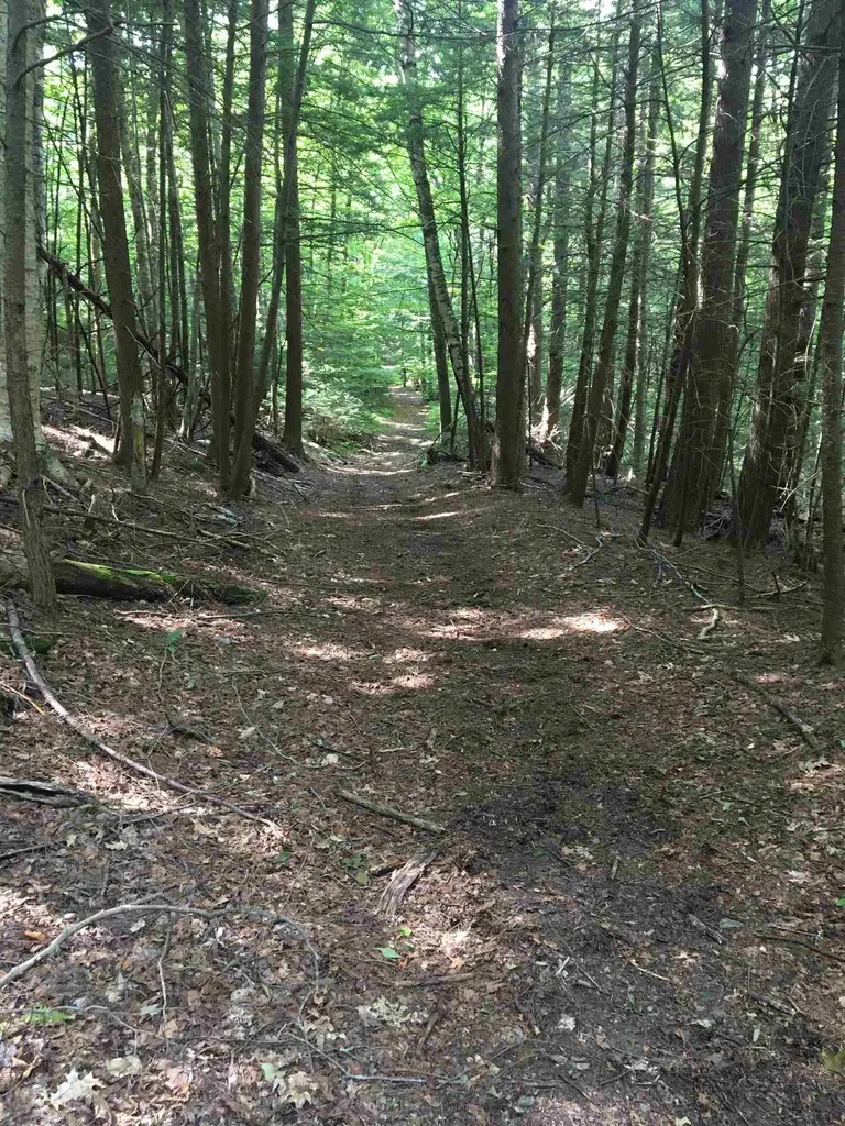 58 Brickyard Road Dover VT 05341