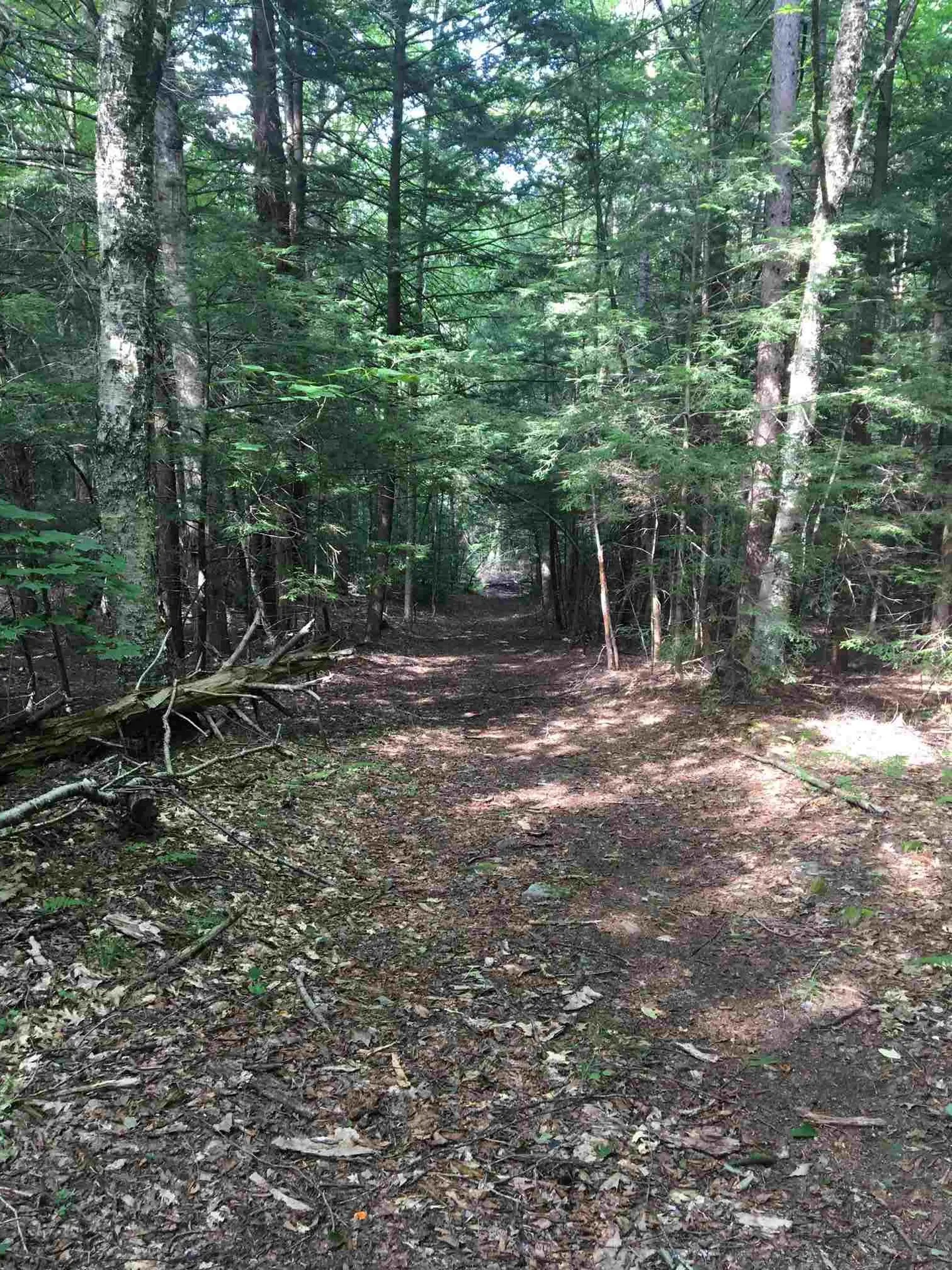 58 Brickyard Road Dover VT 05341